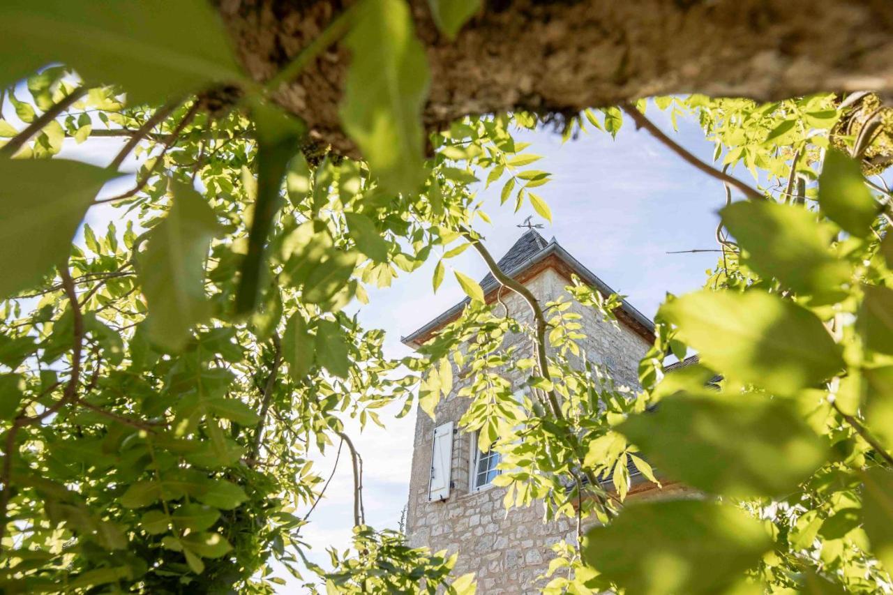 Domaine La Garenne Bed & Breakfast Reilhaguet Екстериор снимка